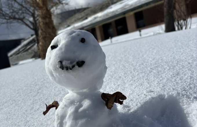 雪だるまつくろう ❄️大きな雪だるま~~